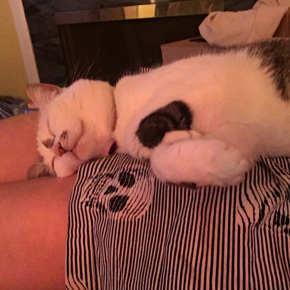 Meet your Posher, Andrea - Picture 1 of 1